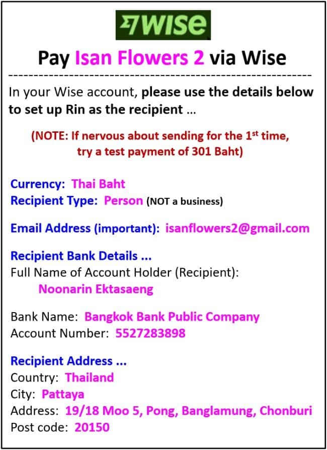 pay isan flowers 2 by wise